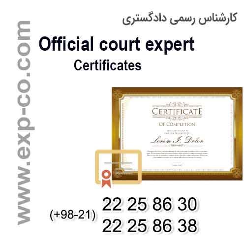 Expert License 2017
